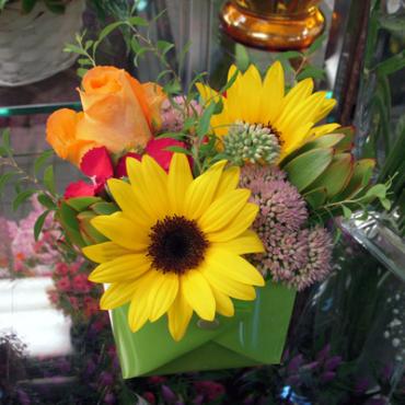 夏風邪をひきましたぁ｜「大花園」　（東京都大田区の花キューピット加盟店 花屋）のブログ