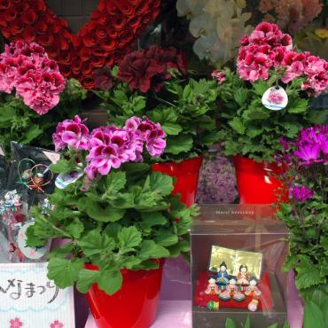 2月も終わりですね！｜「大花園」　（東京都大田区の花キューピット加盟店 花屋）のブログ