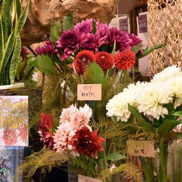52週の花提案を実施しています！今週は「ダリア」｜「大花園」　（東京都大田区の花キューピット加盟店 花屋）のブログ