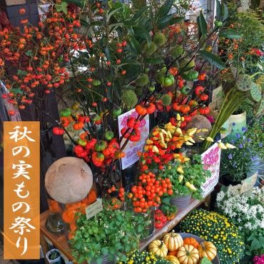 52週の花提案を実施しています！今週は「秋の実物」｜「大花園」　（東京都大田区の花キューピット加盟店 花屋）のブログ