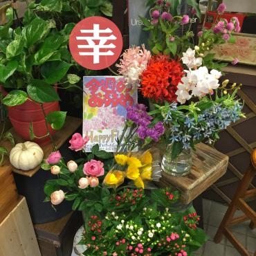 今週のおすすめは 幸せな花たち です 花屋ブログ 東京都大田区の花屋 大花園にフラワーギフトはお任せください 当店は 安心と信頼の花キューピット加盟店です 花キューピットタウン