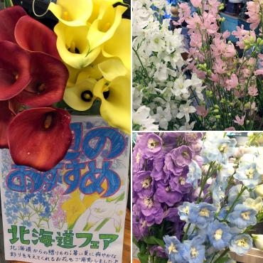 今週の週刊提案は「北海道フェア」｜「大花園」　（東京都大田区の花キューピット加盟店 花屋）のブログ