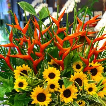 今週のおすすめはヘリコニア ファイヤーバード 花屋ブログ 東京都大田区の花屋 大花園にフラワーギフトはお任せください 当店は 安心と信頼の花 キューピット加盟店です 花キューピットタウン