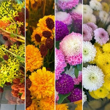 今週は秋のお彼岸です。お墓参りは季節の花で！｜「大花園」　（東京都大田区の花キューピット加盟店 花屋）のブログ