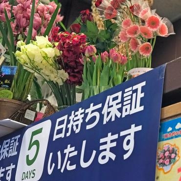 国産花きイノベーション事業「日持ち保証販売フェア」を開催してます！｜「大花園」　（東京都大田区の花キューピット加盟店 花屋）のブログ