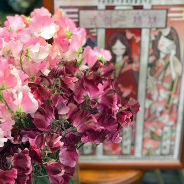 今週のおすすめはスィートピー式部シリーズの「紅式部＆恋式部」です。｜「大花園」　（東京都大田区の花キューピット加盟店 花屋）のブログ