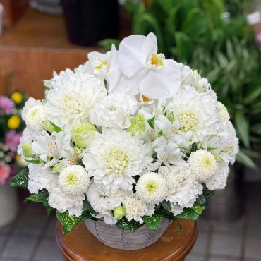 東京都大田区山王　大森の花屋　大花園（だいかえん）季節の旬な花をあなただけの贈り物に！上質でモダンな花贈りを大森スタイルでお届けします。