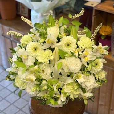 東京都大田区山王　大森の花屋　大花園（だいかえん）季節の旬な花をあなただけの贈り物に！上質でモダンな花贈りを大森スタイルでお届けします。