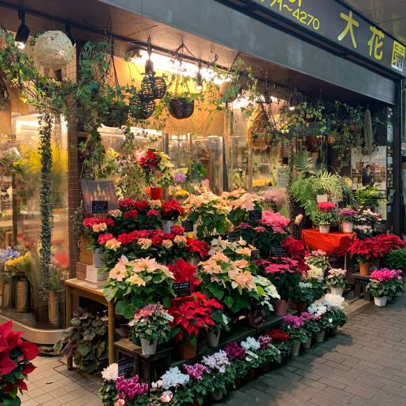 「大花園」　（東京都大田区）の花屋店舗写真1